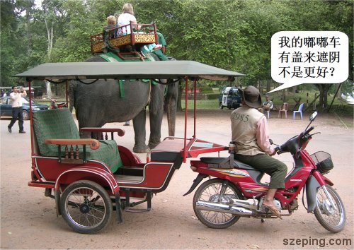 2-tuktuk-vs-elephant.jpg