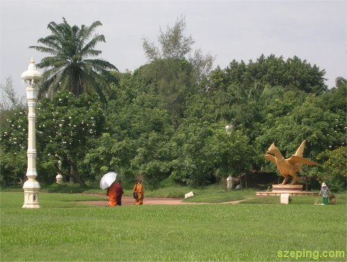 4-field.jpg