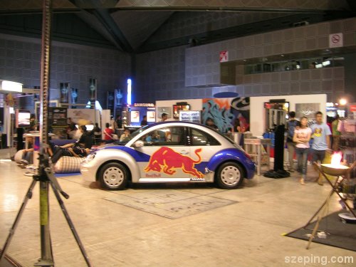 bull-beetle.jpg