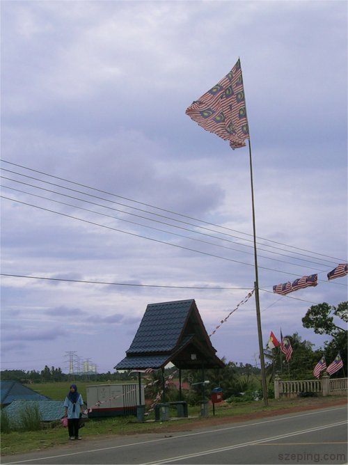 flag-2.jpg