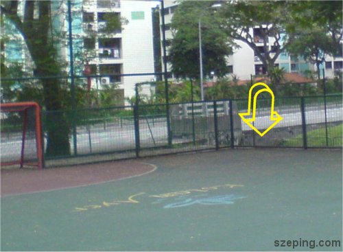 court-2.jpg