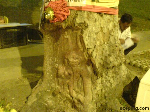 monkey-2.jpg