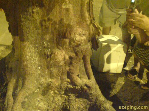 monkey-3.jpg