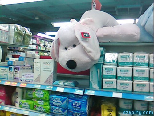 dog3.jpg