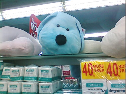 dog4.jpg
