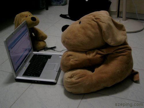 dog6.jpg