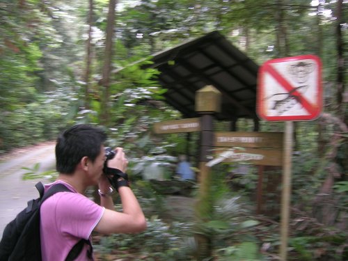 gan-monkey.jpg