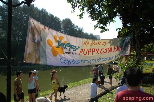 banner.jpg