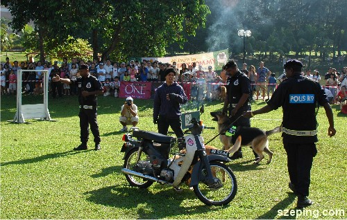 k9-group-0.jpg