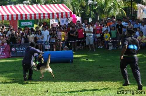 k9-group-1.jpg