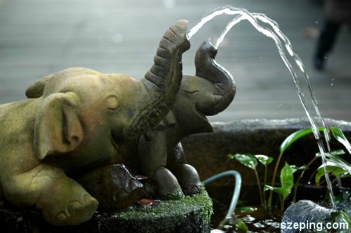 elephant-1.jpg