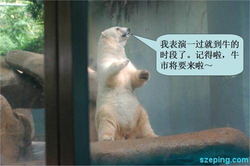 polar-stand-2.jpg