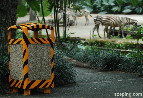 tiger-zebra.jpg