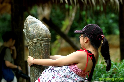 tortoise-head.jpg