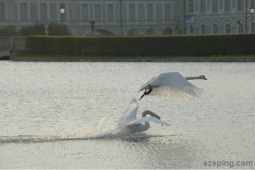 munich_schloss-nymphenburg5.jpg
