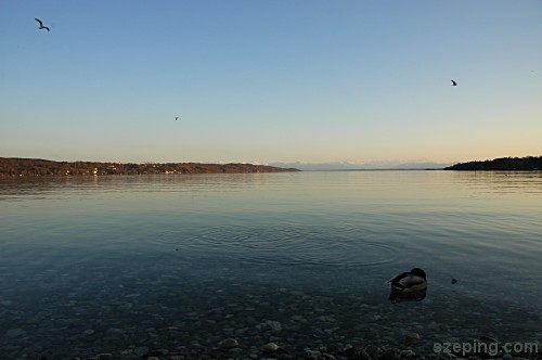 munich_starnberg-1.jpg