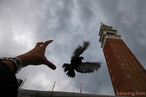 venice-stmarco5.jpg