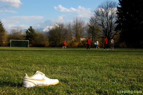 villach-field.jpg