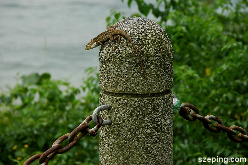 punggol-4.jpg