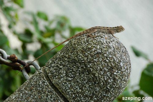 punggol-5.jpg