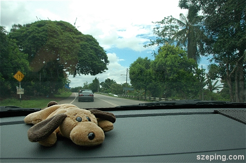 car1.jpg