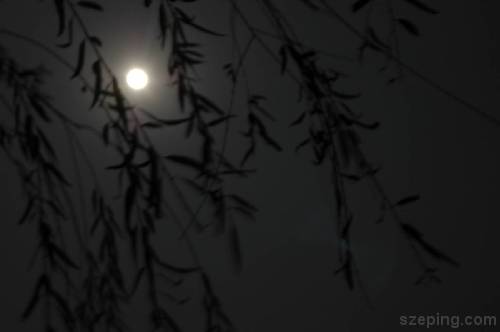 xihu_night.jpg