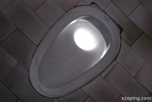 toilet_rs.jpg