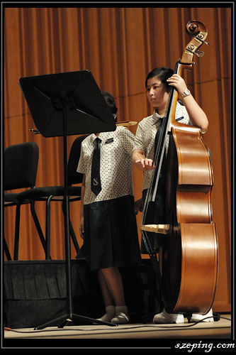 vivace-x_13.jpg