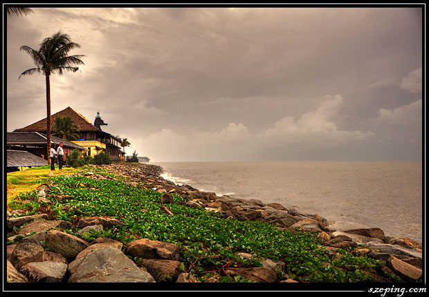miri_08.jpg