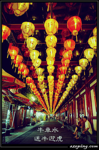 chinatown2010_1.jpg