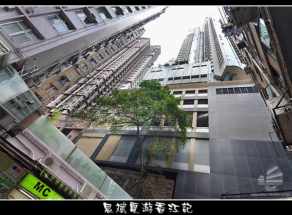 omy-hk_123.jpg