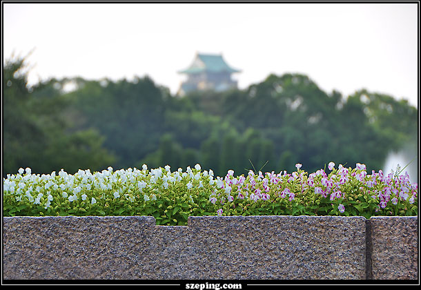 osaka_022.jpg