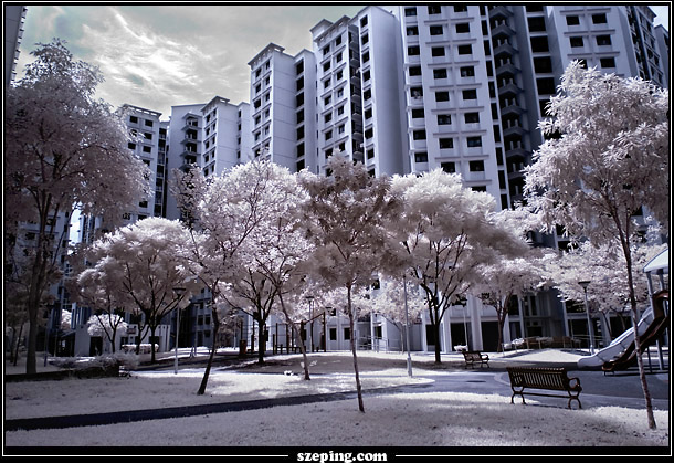 20101114_ir.jpg