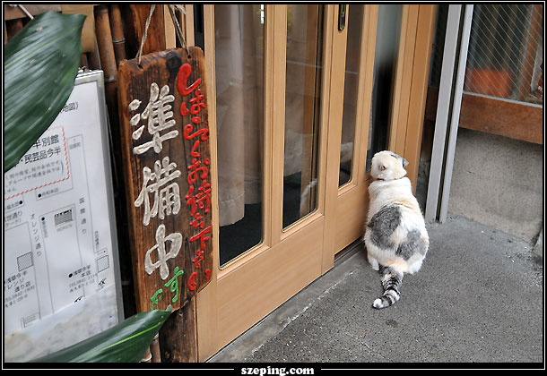 tokyo_096.jpg